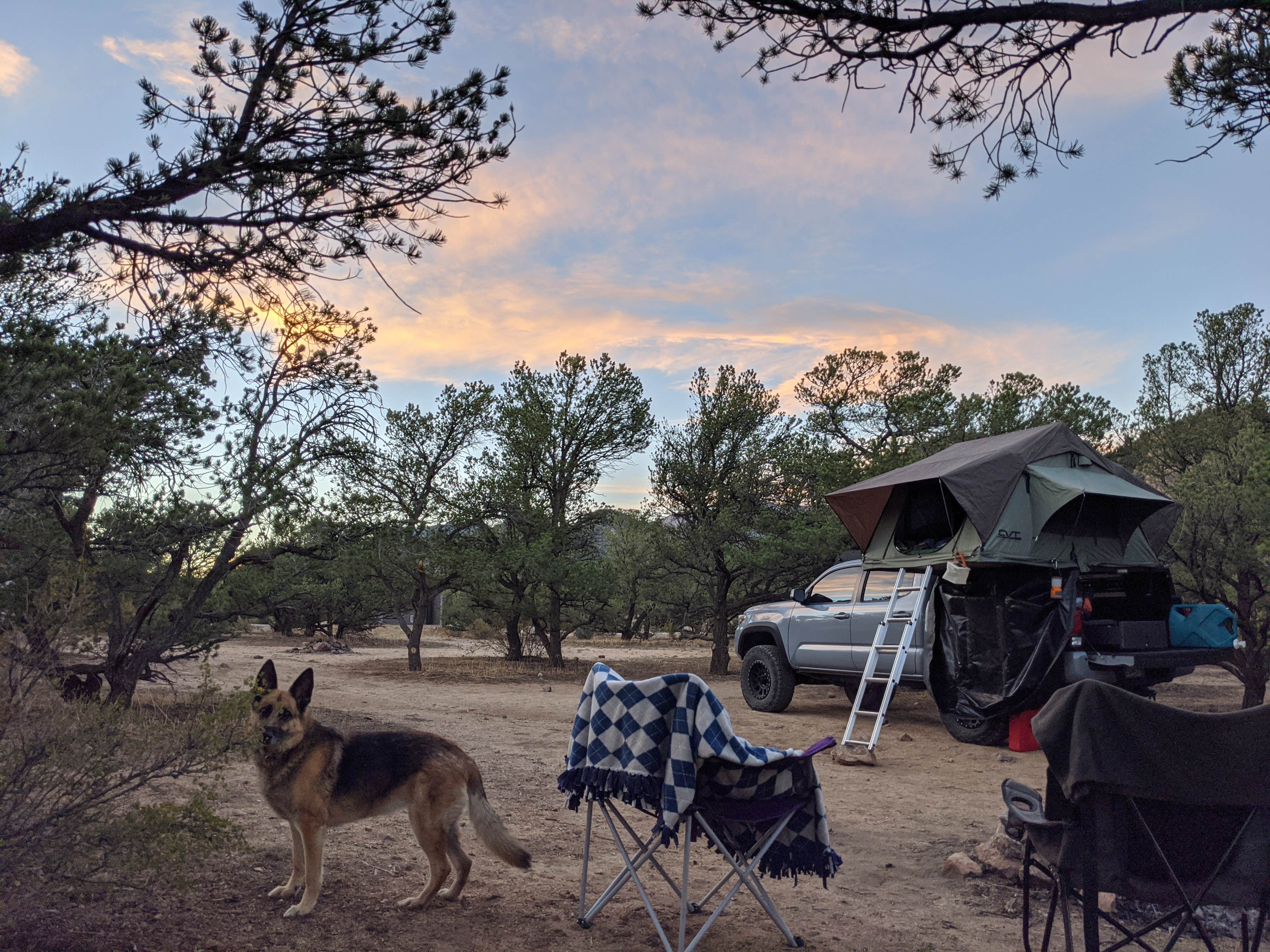 Megan V.'s photo of camping with pets at Turtle Rock Campground near Buena Vista, CO