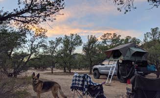 Megan V.'s photo of camping with pets at Turtle Rock Campground near Buena Vista, CO