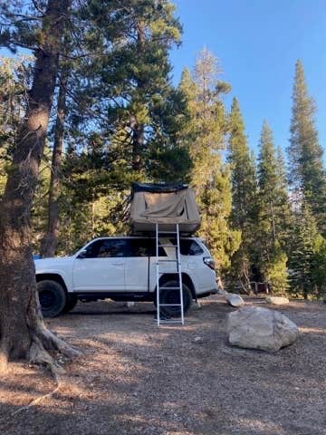Scoot M.'s photo at Upper Soda Springs Campground - CLOSED near June Lake, CA