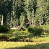 Review photo of Upper Soda Springs Campground - CLOSED by Scoot M., September 23, 2020