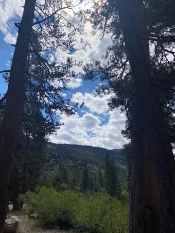 Camper submitted image from Upper Soda Springs Campground - CLOSED - 4