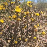 Review photo of Catalina State Park Campground by Carly E., May 17, 2018