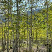Review photo of Cottonwood Lake Campground by Michael S., September 23, 2020