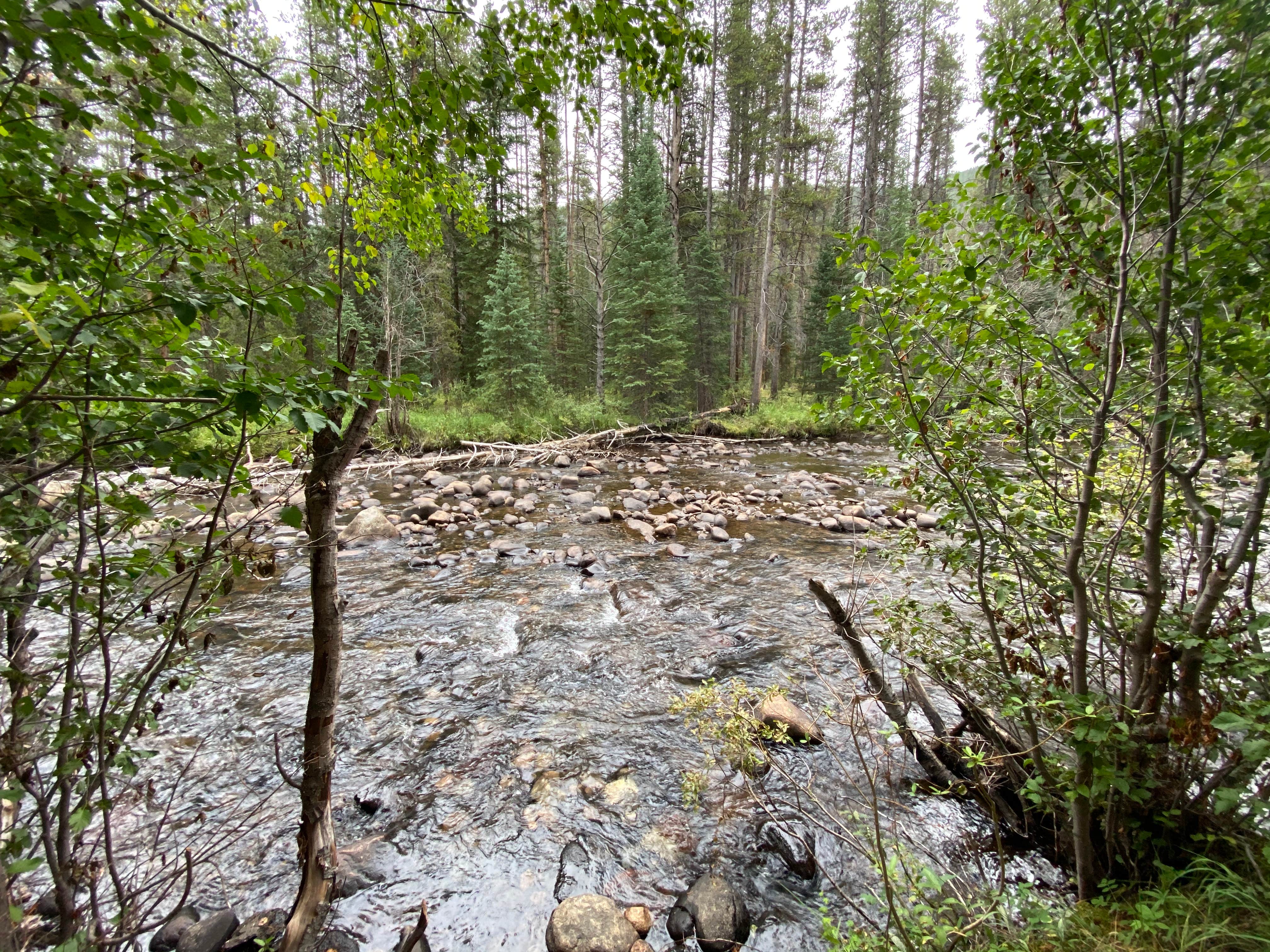 Camper-submitted photo at Gold Park Campground near Minturn, CO
