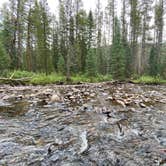 Review photo of Gold Park Campground by Michael S., September 23, 2020