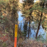 Review photo of South Fork Recreation Site by Jonathan A., September 23, 2020