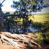 Review photo of Skidaway Island State Park Campground by Rob D., September 21, 2020
