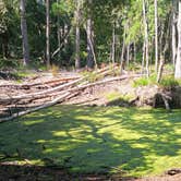 Review photo of Skidaway Island State Park Campground by Rob D., September 21, 2020