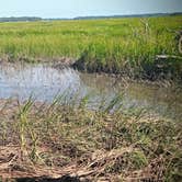 Review photo of Skidaway Island State Park Campground by Rob D., September 21, 2020