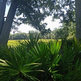 Review photo of Skidaway Island State Park Campground by Rob D., September 21, 2020