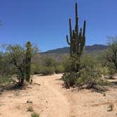 Review photo of Catalina State Park Campground by Carly E., May 17, 2018