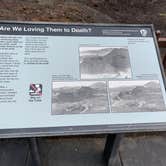 Review photo of Lava Flow Campground — Craters of the Moon National Monument by Jonathan A., September 23, 2020