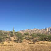 Review photo of Catalina State Park Campground by Carly E., May 17, 2018