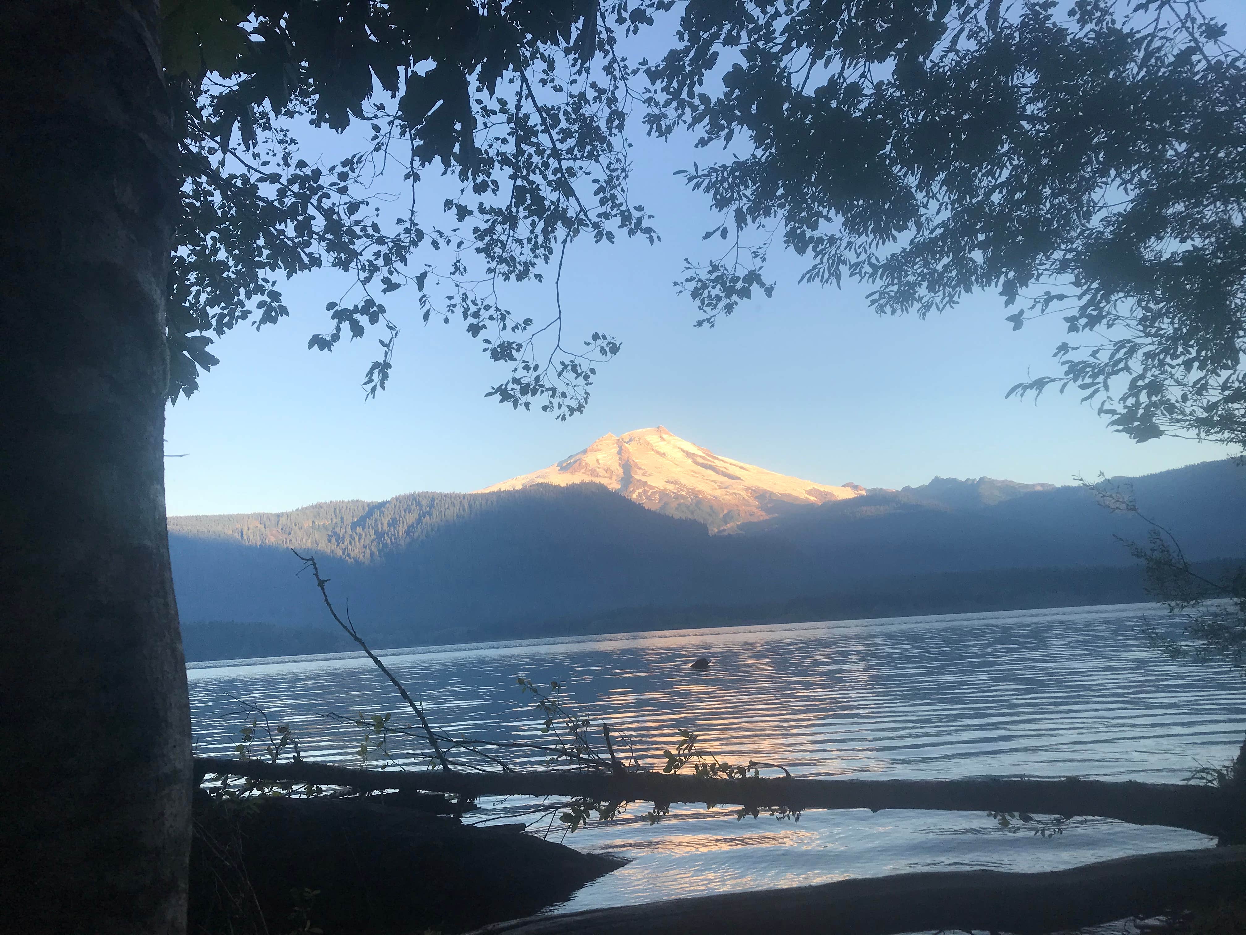 Camper-submitted photo at Maple Grove Campsites near Darrington, WA