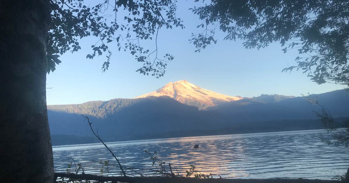 Maple Grove Campsites