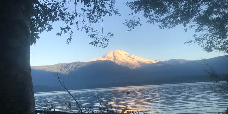 Camper submitted image from Maple Grove Campsites