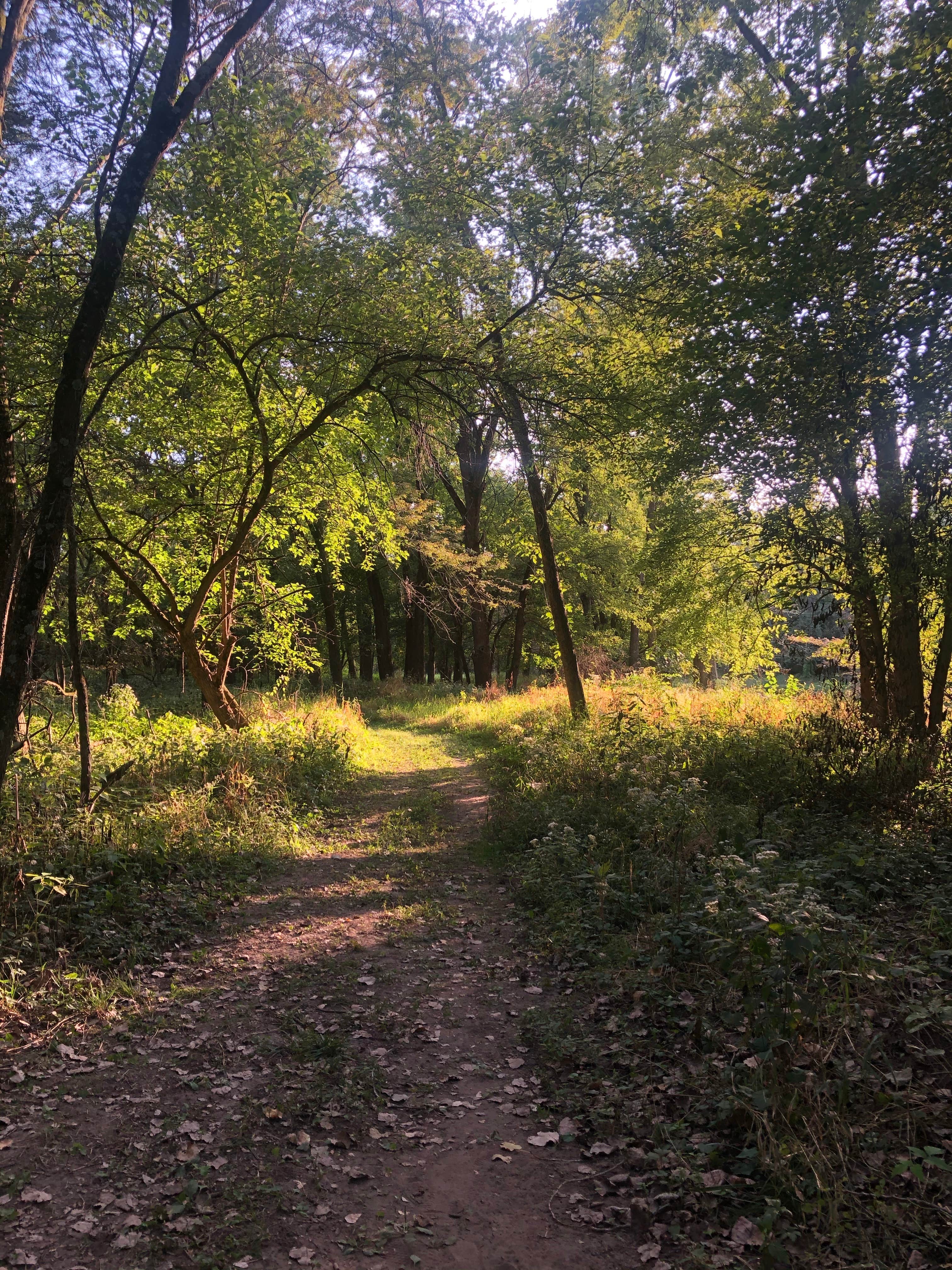 Camper submitted image from Harry L Swartz Campground - 3