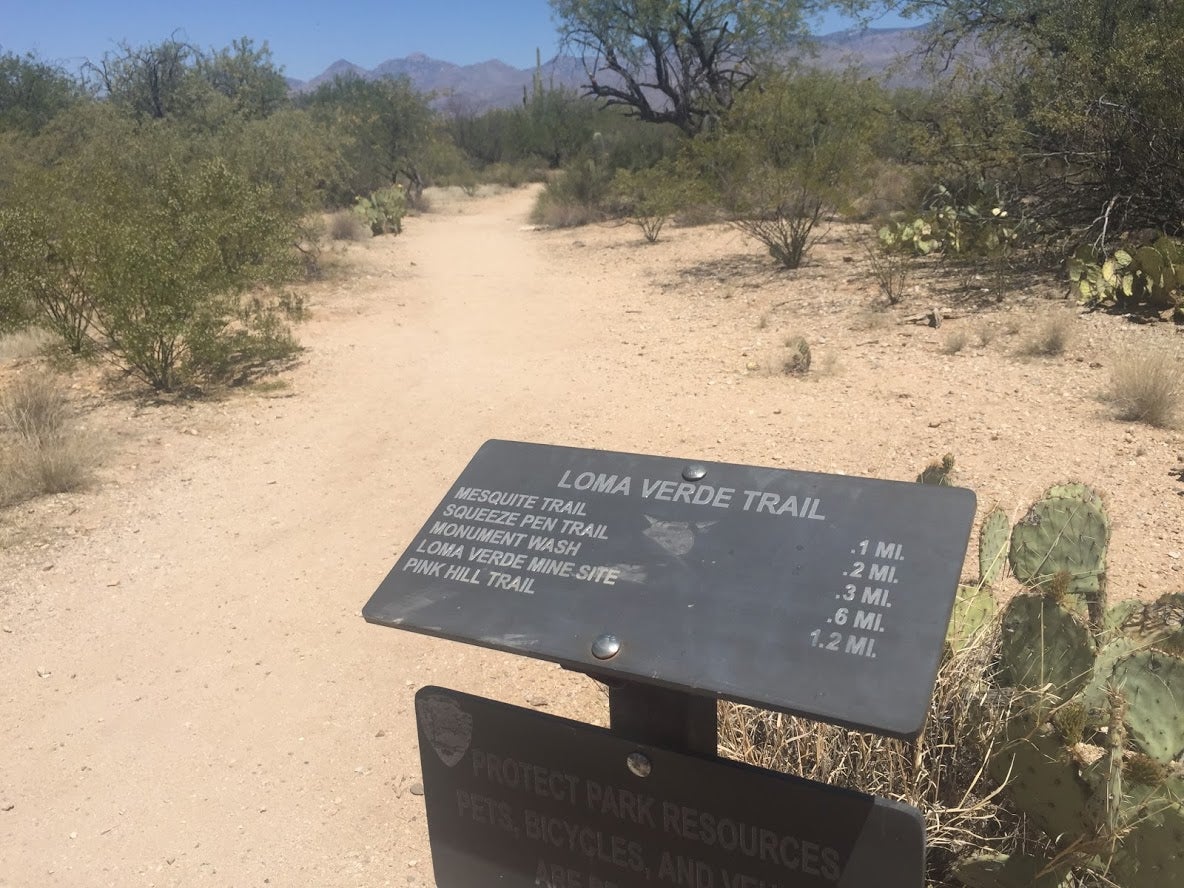 hiking in nearby Saguaro National Park