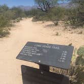Review photo of Catalina State Park Campground by Carly E., May 17, 2018
