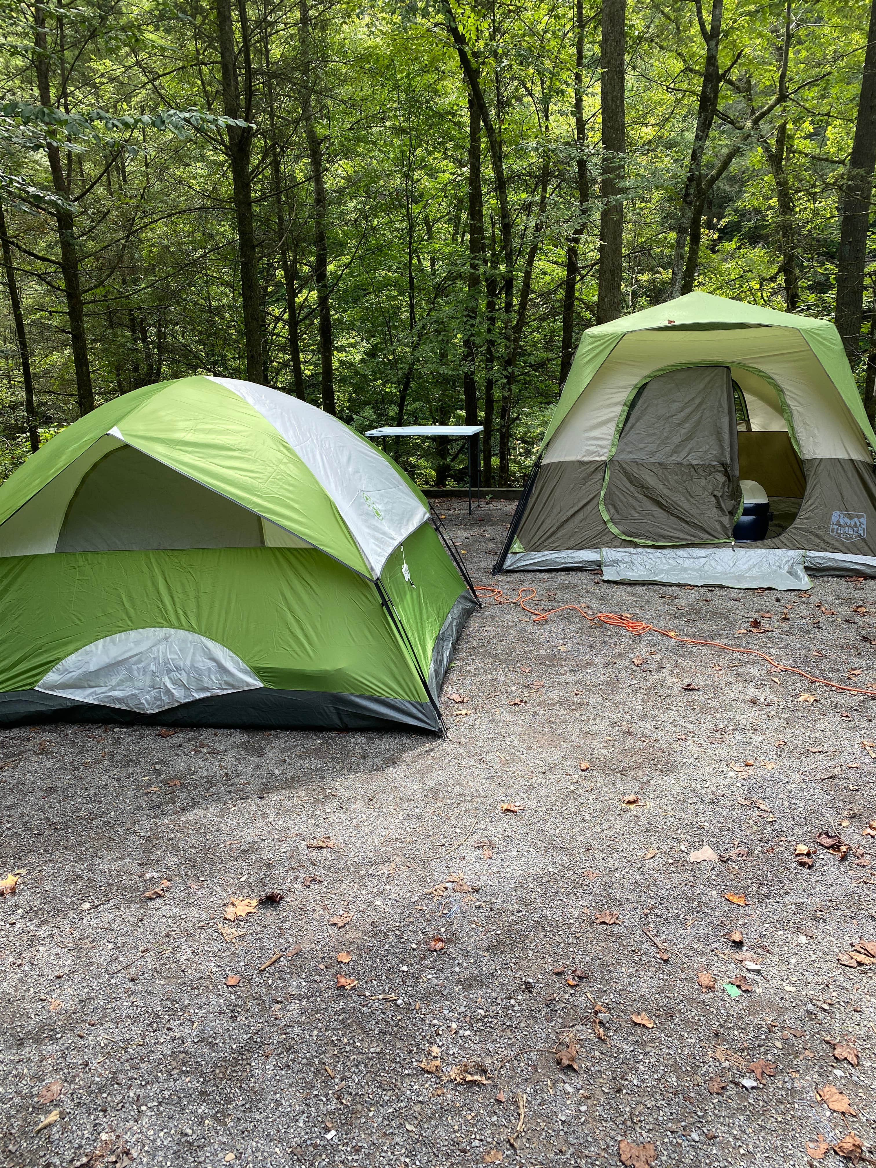 Ted N.'s photo at Jake Best Campground near Tellico Plains, TN
