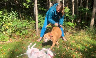Jennifer H.'s photo of camping with pets at Lake Superior Cart-in Campground — Tettegouche State Park in Minnesota