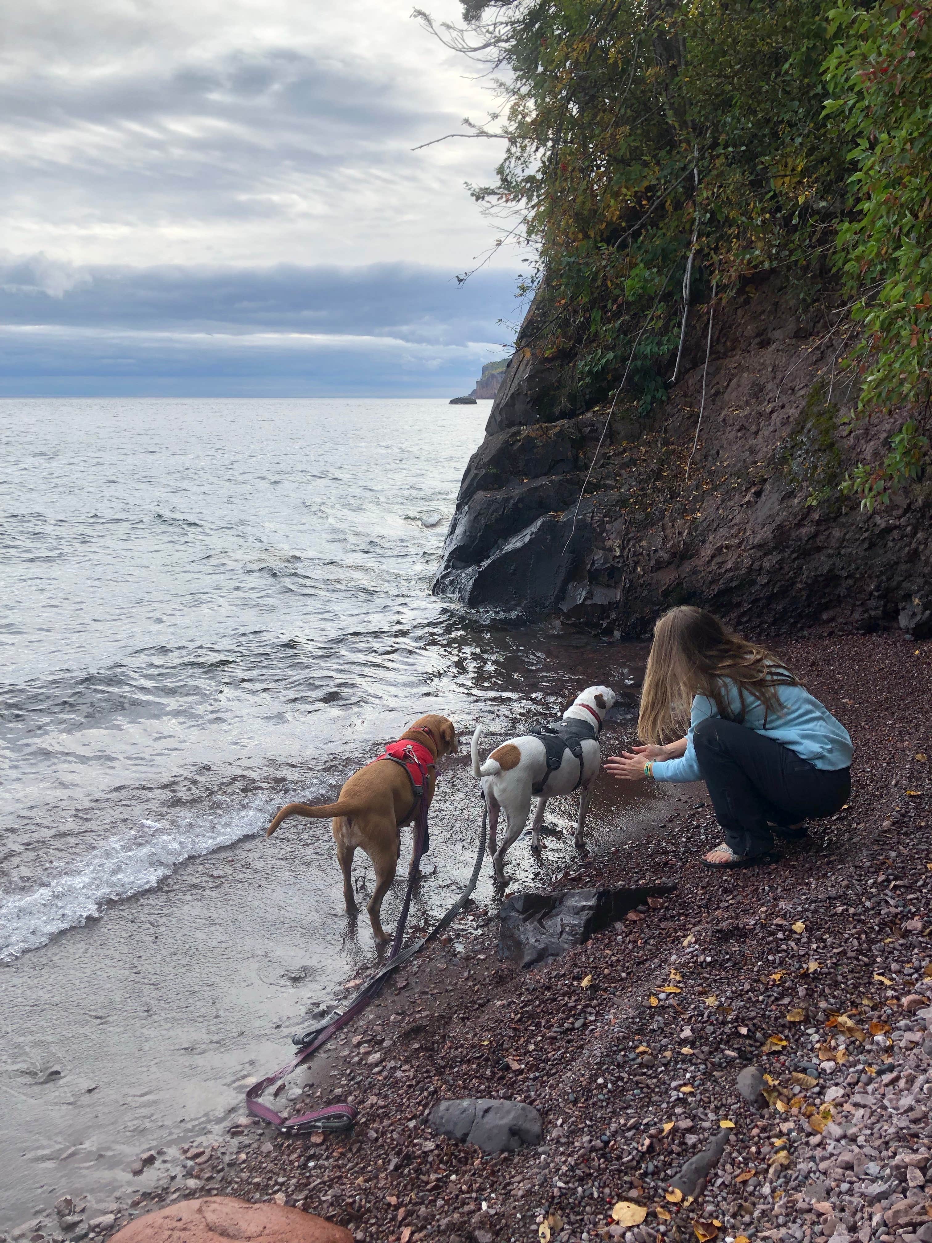 Jennifer H.'s photo of camping with pets at Lake Superior Cart-in Campground — Tettegouche State Park near Tofte, MN