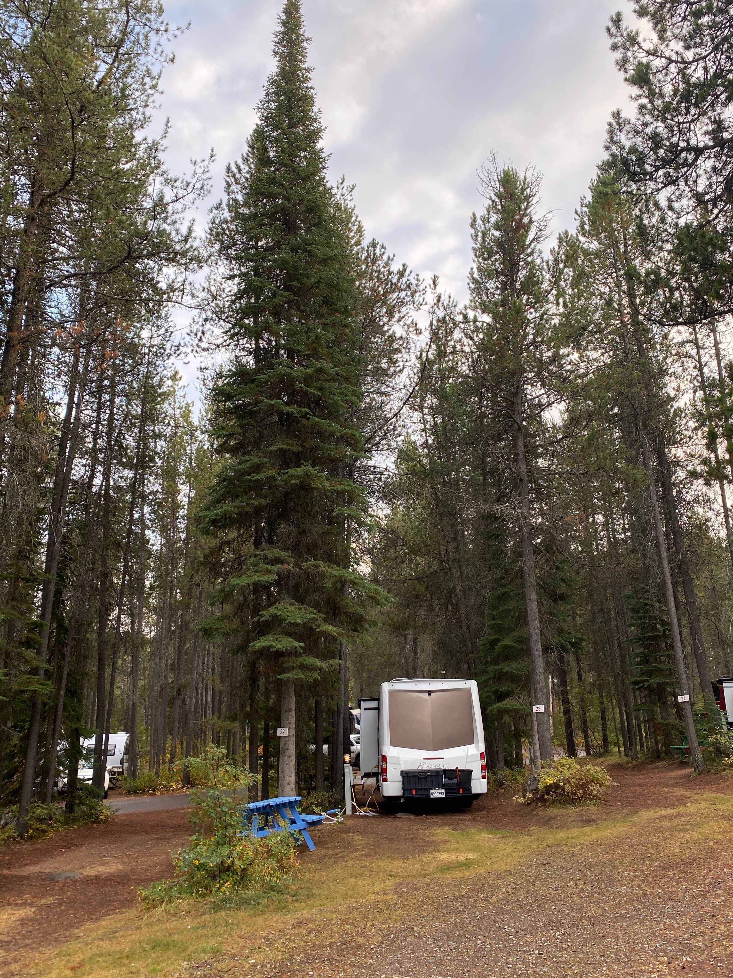 Ann F.'s photo at Moose Creek RV Resort and Bed & Breakfast near West Glacier, MT