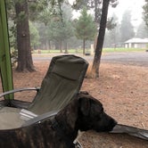 Review photo of La Pine State Park Campground by Kevin H., September 23, 2020