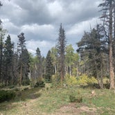 Review photo of Hopewell Lake Campground by Teresa T., September 23, 2020