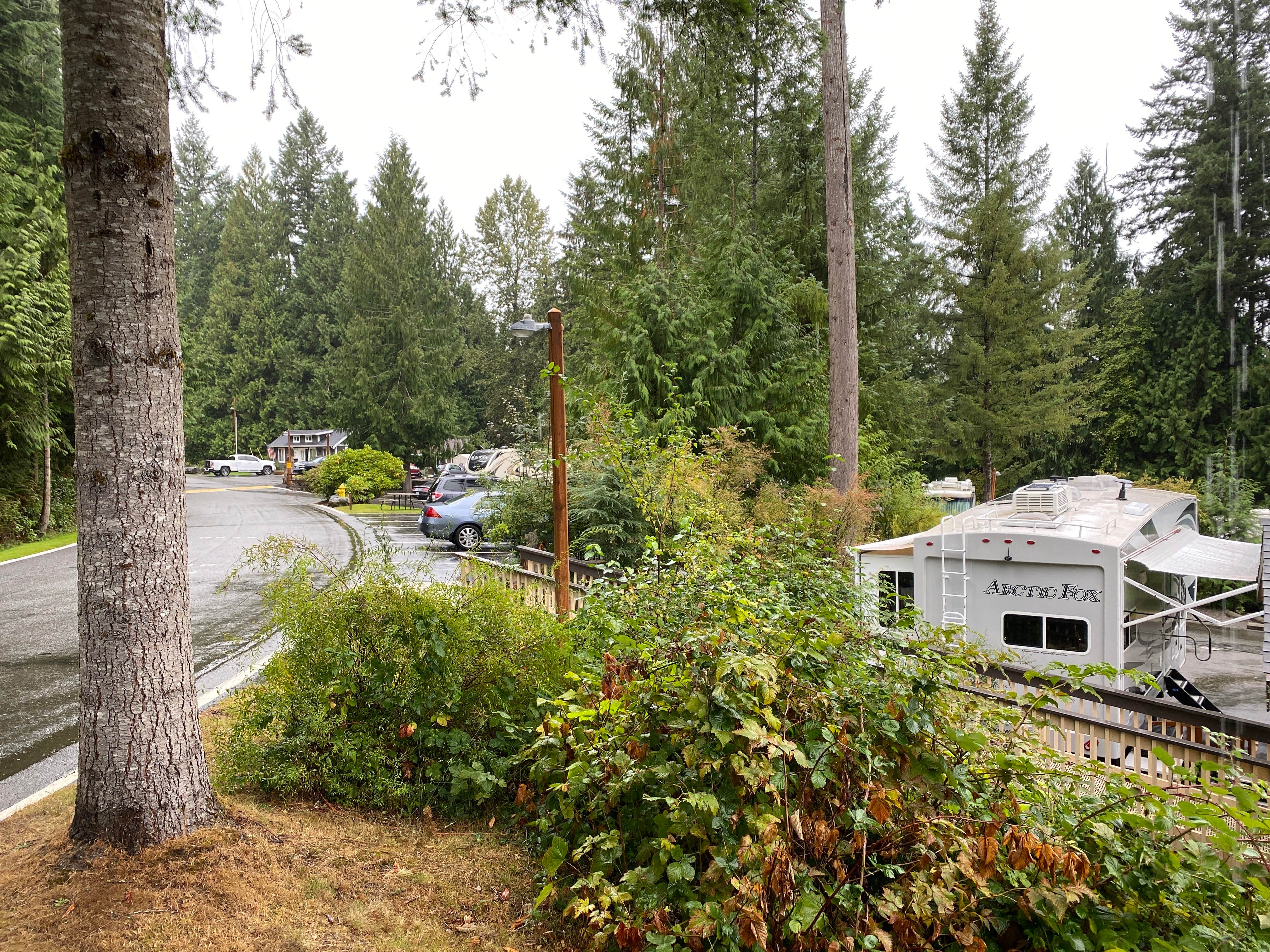 Todd B.'s photo of rv camping at Blue Sky RV Park near Orting, WA