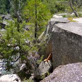 Review photo of Sheep Creek Campground — Kings Canyon National Park by Michael I., May 18, 2018