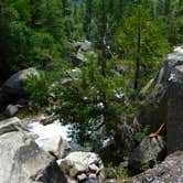 Review photo of Sheep Creek Campground — Kings Canyon National Park by Michael I., May 18, 2018