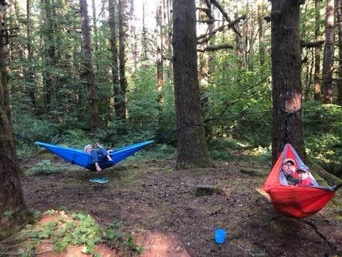 Caitlin's photo at Horseshoe Cove Campground near Hamilton, WA
