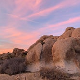 Review photo of Indian Cove Campground — Joshua Tree National Park by Brianne S., September 23, 2020