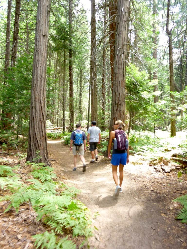 Camper submitted image from Sheep Creek Campground — Kings Canyon National Park - 5