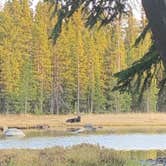 Review photo of West Tensleep Lake by Krissy C., September 23, 2020