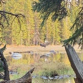 Review photo of West Tensleep Lake by Krissy C., September 23, 2020