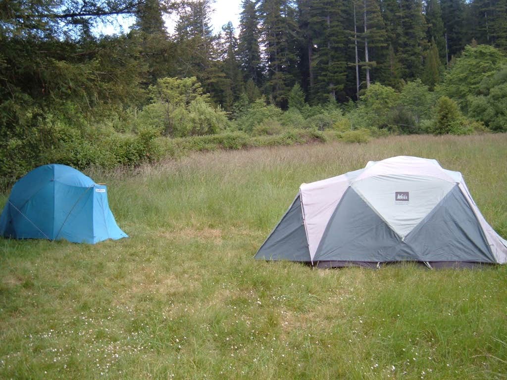 Camper submitted image from Hidden Springs Campground — Humboldt Redwoods State Park - 5