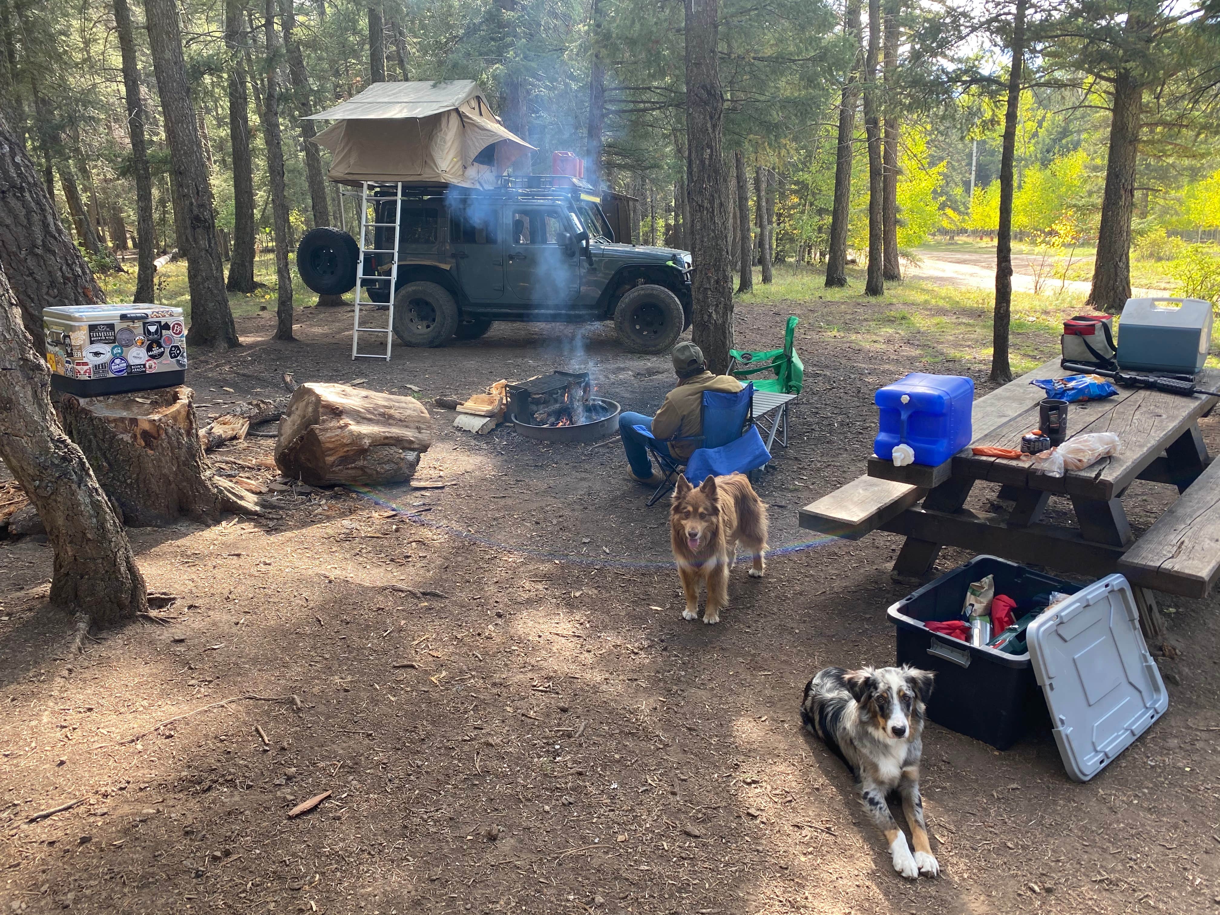 Camper submitted image from Iron Gate Campground - 5