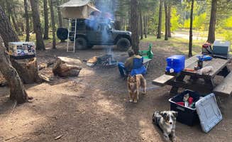 Nathan M.'s photo at Iron Gate Campground near Tererro, NM