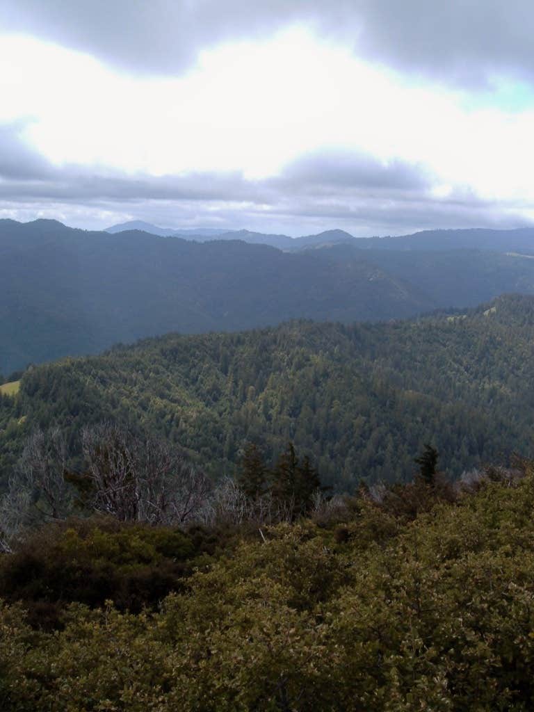 Camper-submitted photo at Hidden Springs Campground — Humboldt Redwoods State Park near Bridgeville, CA