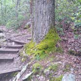 Review photo of Cloudland Canyon State Park Campground by Rachel G., September 24, 2020