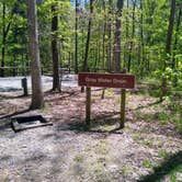 Review photo of Cloudland Canyon State Park Campground by Rachel G., September 24, 2020
