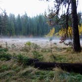 Review photo of North Grove Campground — Calaveras Big Trees State Park by Michael I., May 18, 2018