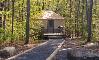 Rachel G.'s photo of a cabin at Cloudland Canyon State Park Campground near Trenton, GA