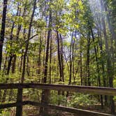 Review photo of Cloudland Canyon State Park Campground by Rachel G., September 24, 2020