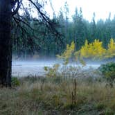 Review photo of North Grove Campground — Calaveras Big Trees State Park by Michael I., May 18, 2018