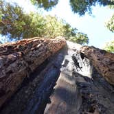 Review photo of North Grove Campground — Calaveras Big Trees State Park by Michael I., May 18, 2018