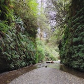 Review photo of Gold Bluffs Beach Campground — Prairie Creek Redwoods State Park by Scott B., September 24, 2020