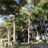 Review photo of Myrtle Beach State Park Campground by L O., September 24, 2020